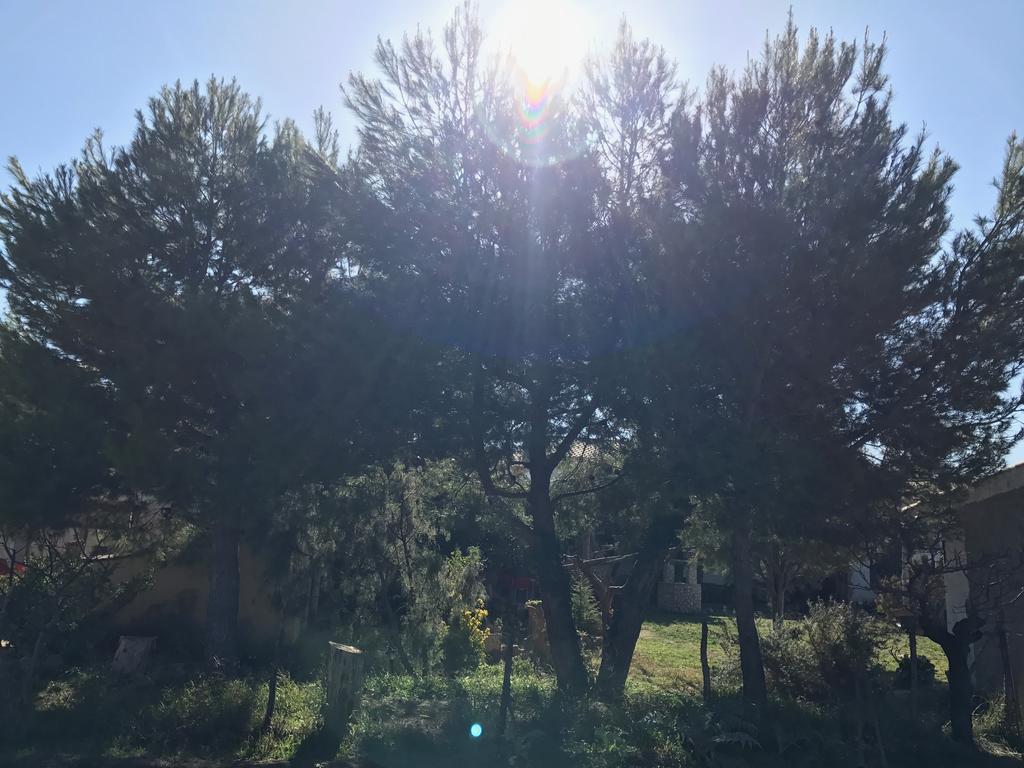 Casa Rural La Granja Letur Εξωτερικό φωτογραφία
